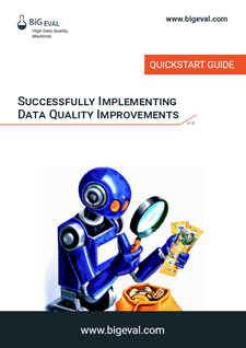 eBook Successfully Implementing Data Quality Improvements